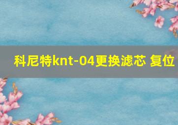 科尼特knt-04更换滤芯 复位